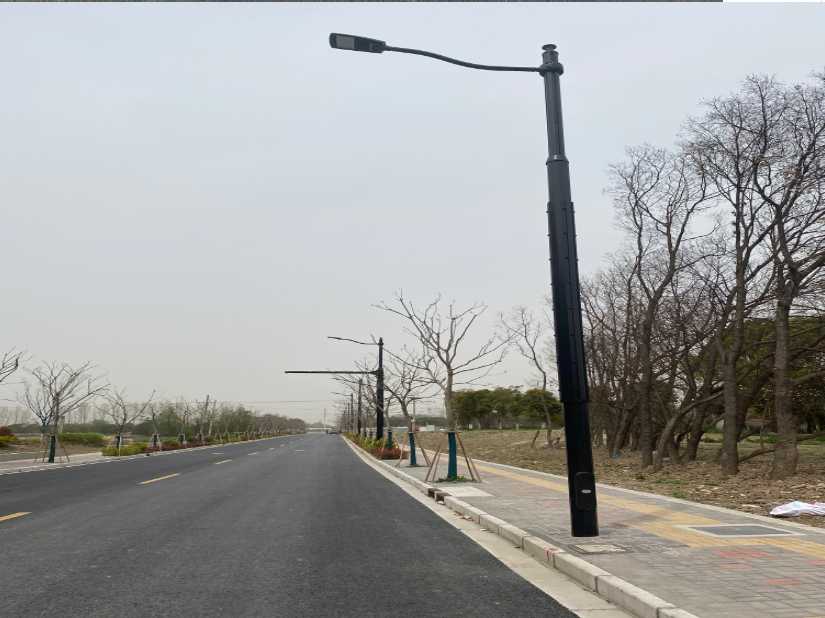 河南蒙古族自治县上海综合杆 太阳能路灯工程